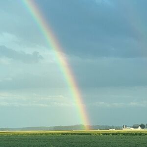 Meet your Posher, Dima